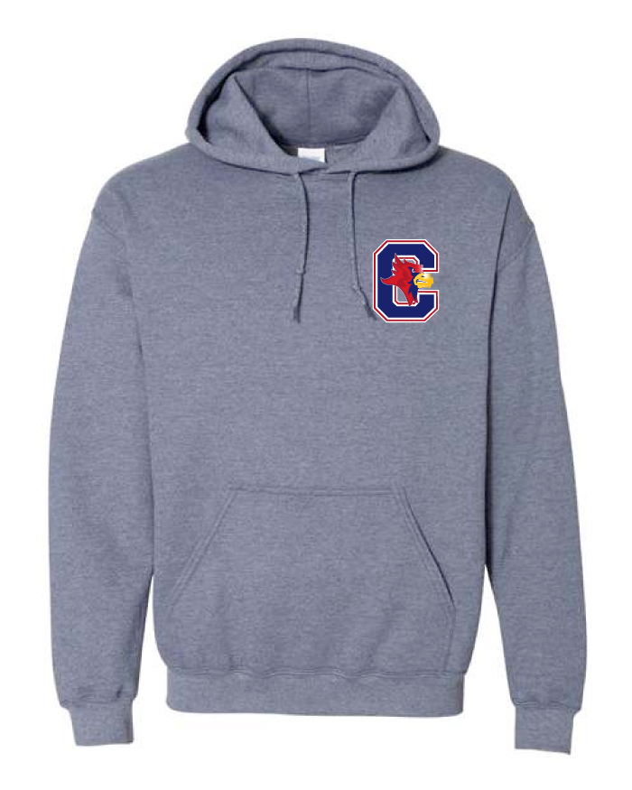 Corvian Staff Gildan Hoodie Block Logo